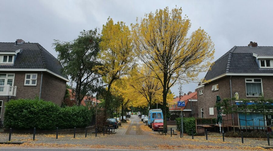 Exploring Nijmegen: The Oldest City in the Netherlands